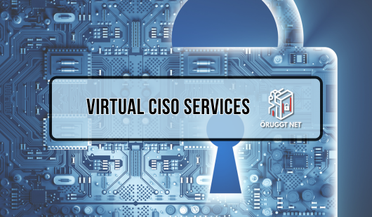 Cybersecurity - We offer virtual CISO services